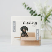 Zilver Grey We verplaatsen Dachshund Dog in Box Ka Bedankkaart (Staand voorkant)