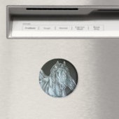Zilver Magneet (Insitu (Vaatwasser))