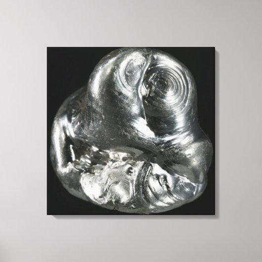 Zilver metaal canvas afdruk (Voorkant)