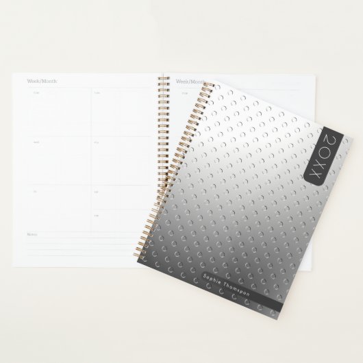 Zilver nieuwjaar planner (Display)