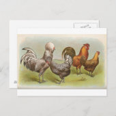 Zilver Pools Briefkaart (Voorkant / Achterkant)