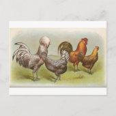 Zilver Pools Briefkaart (Voorkant)