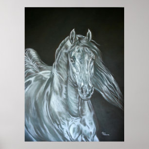 Zilver Poster