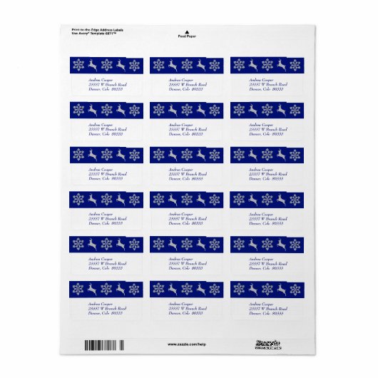 Zilver Reindedarspnowflake Border Etiket (Full Sheet)