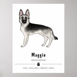 Zilver Sable Duitse Herdershond En Aangepaste Teks Poster