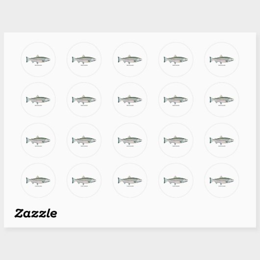 Zilver Salmon (oceaanfase) Ronde Sticker (Vel)