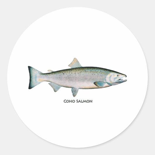 Zilver Salmon (oceaanfase) Ronde Sticker (Voorkant)