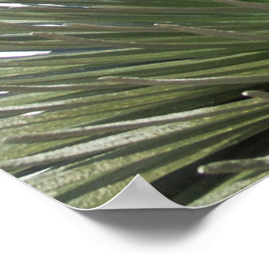 Zilver Sword Landschap Poster (Hoek)