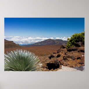 Zilver Sword Landschap Poster