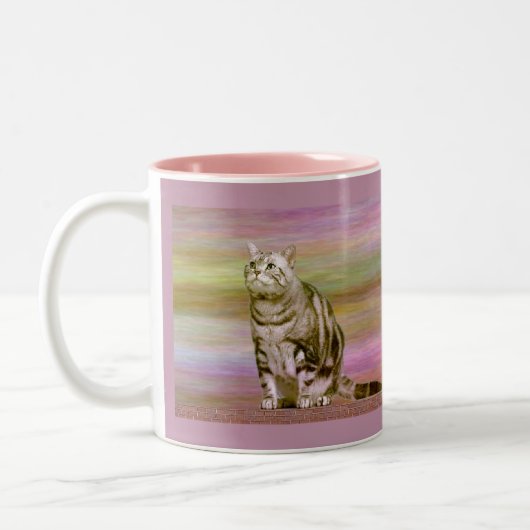 Zilver Tabby Tweekleurige Koffiemok (Links)