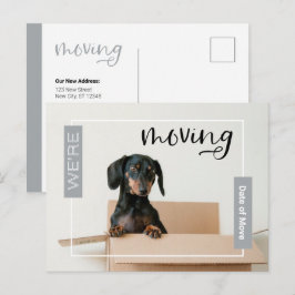 Zilver we verplaatsen Dachshund Dog in Box Briefka Briefkaart