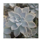 Zilverachtig Blauw Sappige Botanische Natuurlijk Tegeltje (Voorkant)