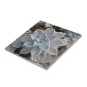 Zilverachtig Blauw Sappige Botanische Natuurlijk Tegeltje (Zijkant)