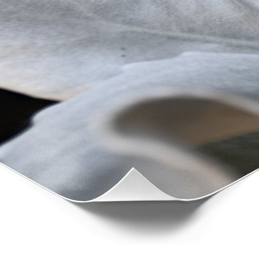 Zilverachtig wit Angel Wings Plant Bloemen Perfect Poster (Hoek)