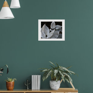 Zilverachtig wit Angel Wings Plant Bloemen Poster