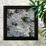 Zilverachtige vetplanten Mooie houten aandenken Cadeaudoosje<br><div class="desc">Silvery blue en green Echeveria succulents met hints van roze en donkere schaduwen zijn te vinden op deze prachtige,  elegante houten cadeaudoos. Het is verfijnd en mooi. Dit afbeelding is een originele botanische foto van JLW_FOTOGRAPHY</div>