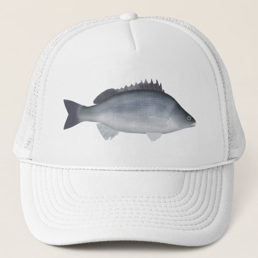 zilverbaars trucker pet (Voorkant)