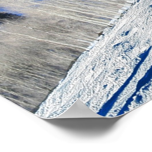 Zilverbomen Poster (Hoek)