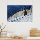 Zilverbomen Poster (Keuken)