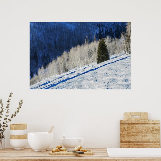 Zilverbomen Poster (Keuken)