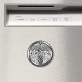 zilverchirurg magneet (Insitu (Vaatwasser))