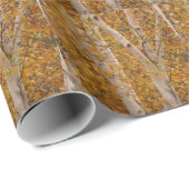 Zilverdragerpapier Cadeaupapier (Rol Hoek)