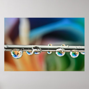 Zilverdruppels Poster