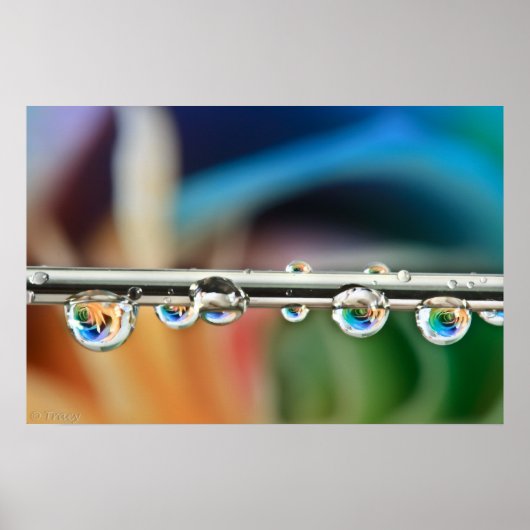 Zilverdruppels Poster (Voorkant)