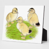 Zilveren Appleyard-eendjes Fotoplaat (Zijkant)