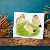 Zilveren Appleyard-eendjes Fotoplaat (Zijkant)