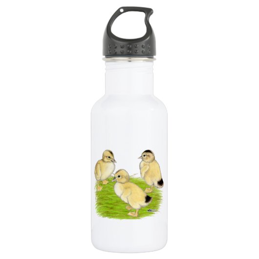 Zilveren Appleyard-eendjes Waterfles (Voorkant)