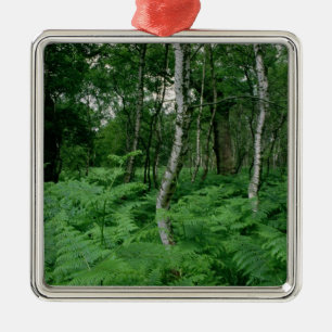 Zilveren berken en veerboten, Sherwood Forest Metalen Ornament