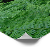 Zilveren berken en veerboten, Sherwood Forest Poster (Hoek)