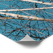 Zilveren berken takken in de zon poster (Hoek)