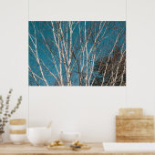 Zilveren berken takken in de zon poster (Keuken)