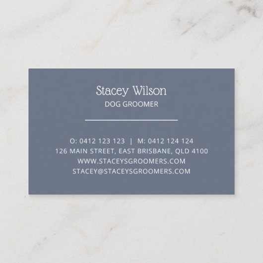 Zilveren Blauwe Pootafdruk Logo Afspraakkaart Visitekaartje (Achterkant)