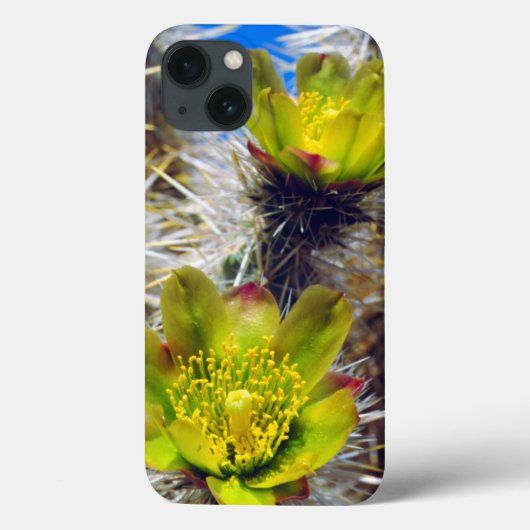 Zilveren Cholla Cactus Wilde Bloemen Case-Mate iPhone Case (Achterkant)