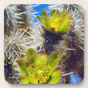 Zilveren Cholla Cactus Wilde Bloemen Drankjes Onderzetter