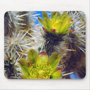 Zilveren Cholla Cactus Wilde Bloemen Muismat
