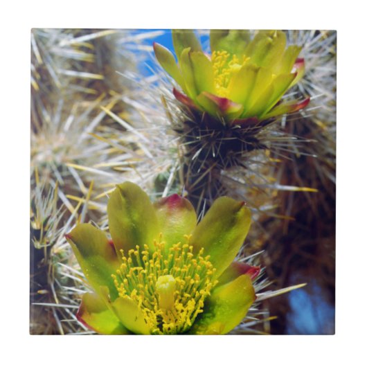 Zilveren Cholla Cactus Wilde Bloemen Tegeltje (Voorkant)