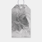 Zilveren dinosaurus brullen verjaardag cadeaulabel (Achterkant)