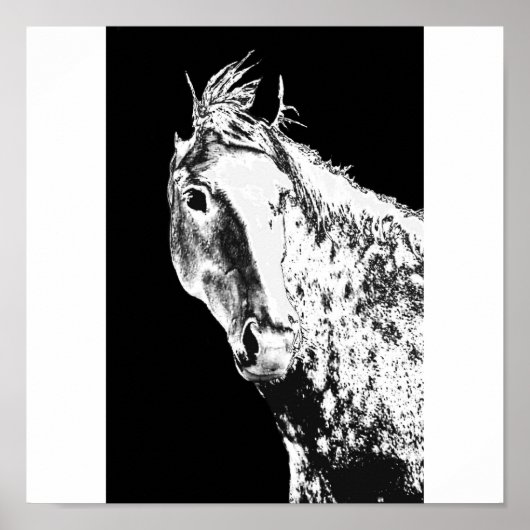 zilveren droom poster (Voorkant)