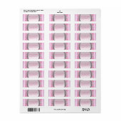Zilveren en roze fancy kader feestadreslabels etiket (Full Sheet)