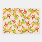 Zilveren esdoorn op inpakpapier set (Voorkant)