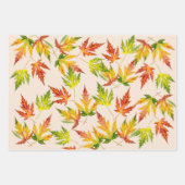 Zilveren esdoorn op inpakpapier set vel (Voorkant)