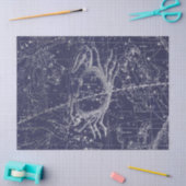 Zilveren Galaxy Star Map Series Design 10 Tissuepapier (Craft)