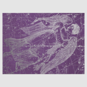 Zilveren Galaxy Star Map Series Design 11 Tissuepapier