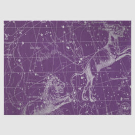 Zilveren Galaxy Star Map Series Design 3 Tissuepapier