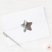 Zilveren glanzende ster sticker (Envelop)