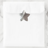 Zilveren glanzende ster sticker (Tas)